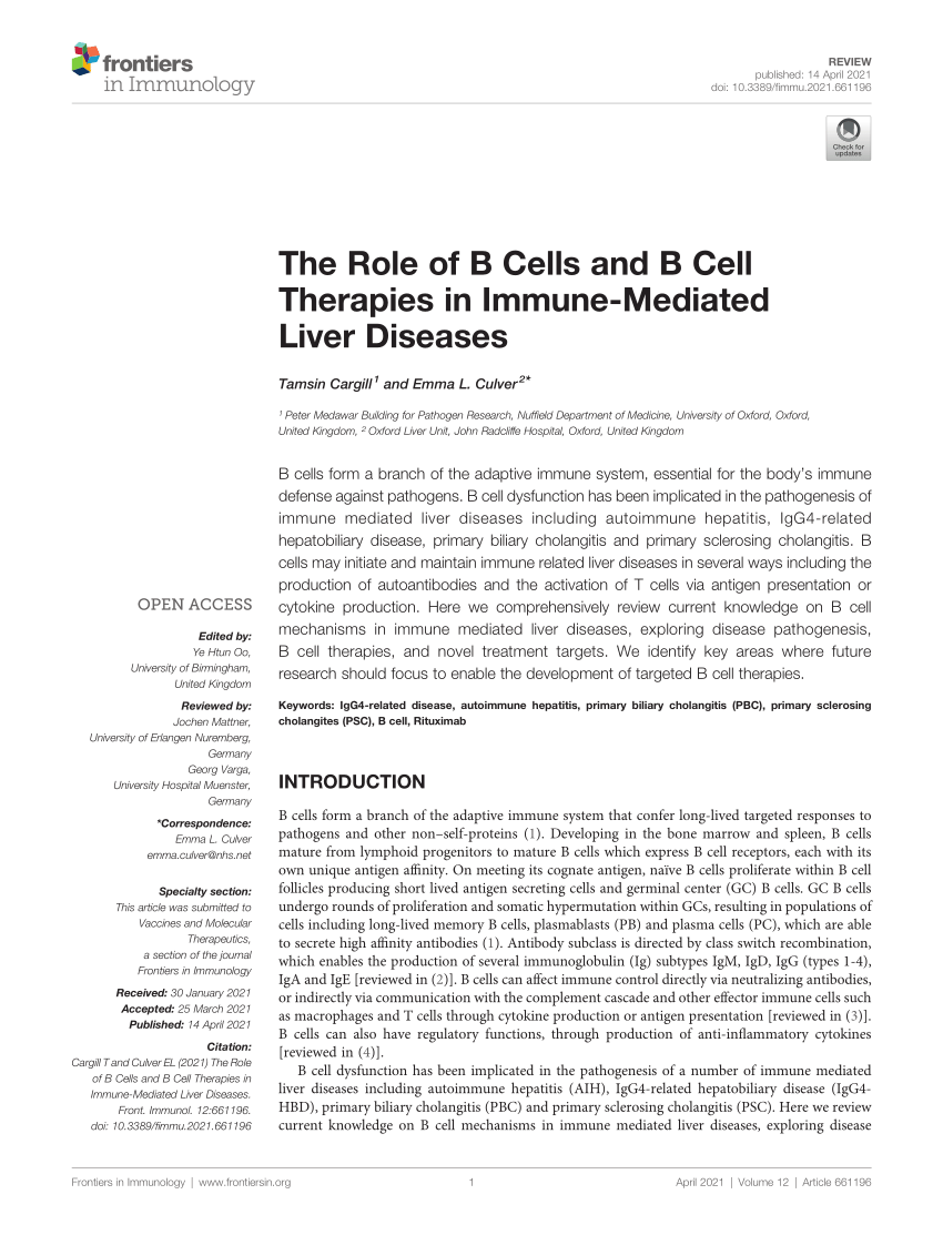 PDF) The Role of B Cells and B Cell Therapies in Immune-Mediated 