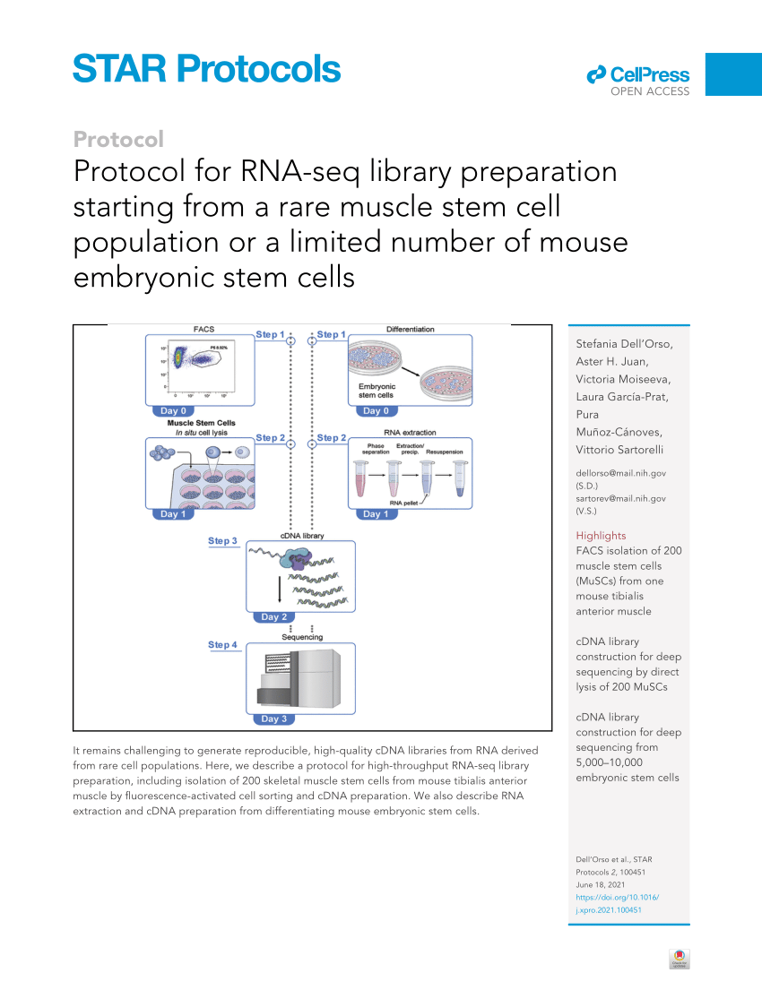 PDF) Protocol for RNA-seq library preparation starting from a rare ...