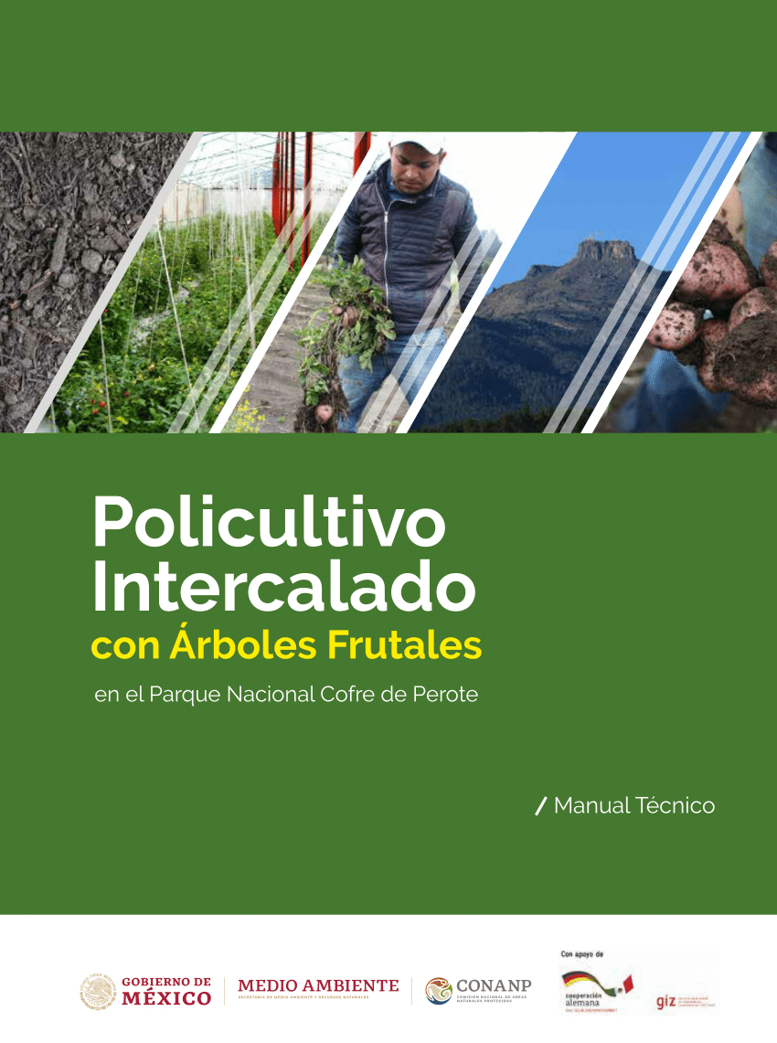 PDF) Policultivo Intercalado con Árboles Frutales / Manual Técnico