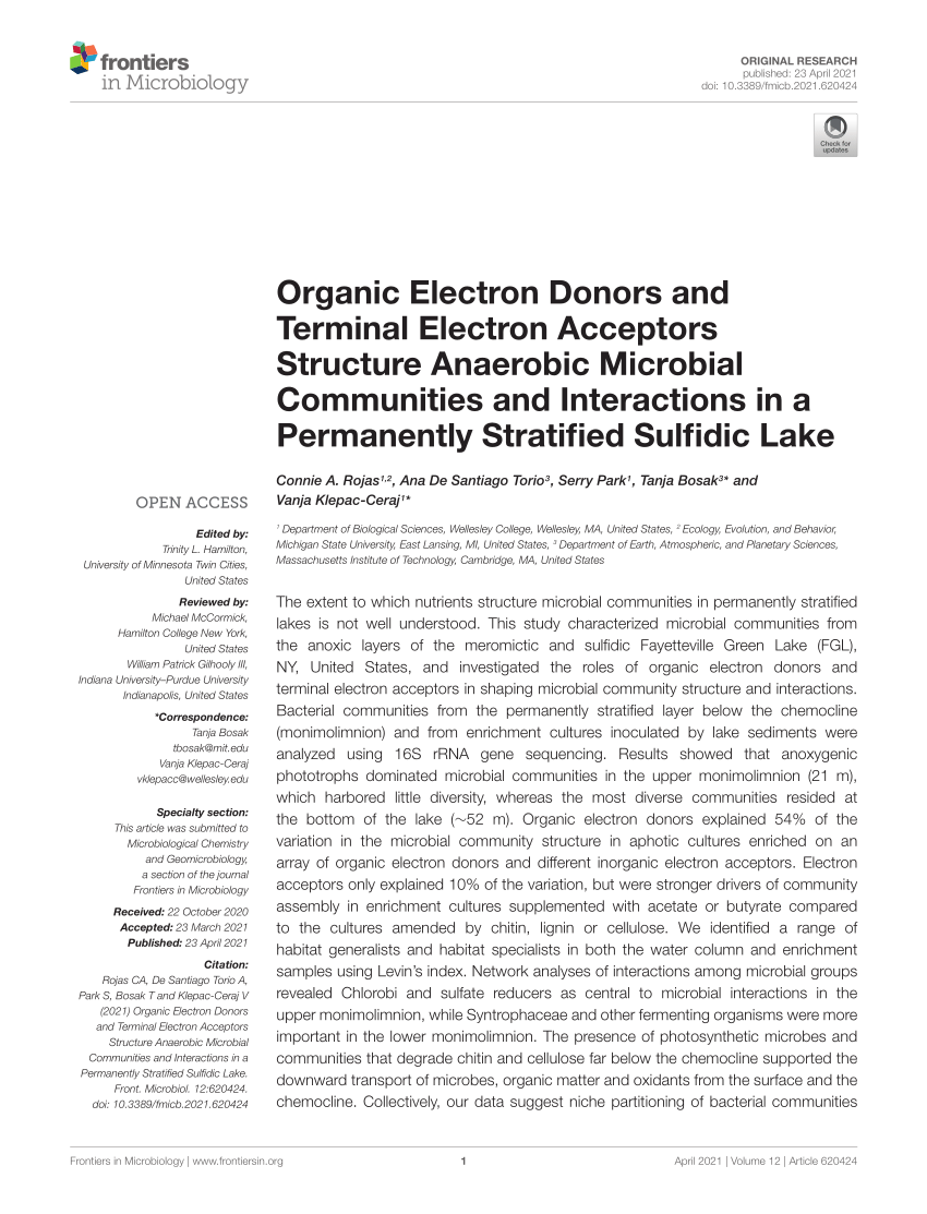 T Bitterheid Wonderbaarlijk PDF) Organic Electron Donors and Terminal Electron Acceptors Structure  Anaerobic Microbial Communities and Interactions in a Permanently  Stratified Sulfidic Lake