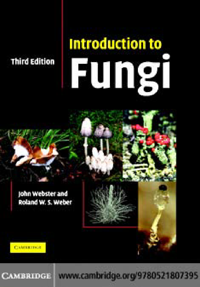 research paper on fungi pdf