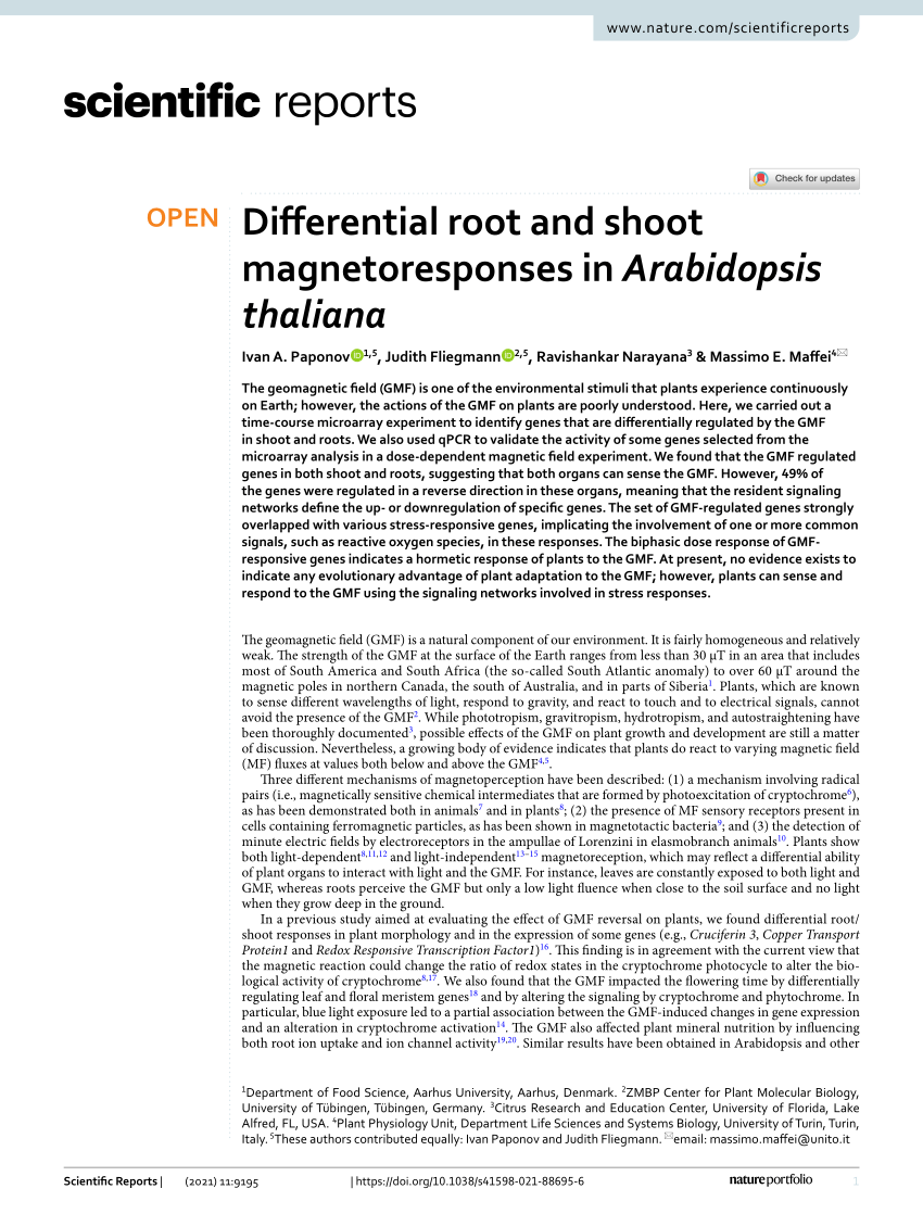 https://i1.rgstatic.net/publication/351124149_Differential_root_and_shoot_magnetoresponses_in_Arabidopsis_thaliana/links/608943242fb9097c0c135ef1/largepreview.png