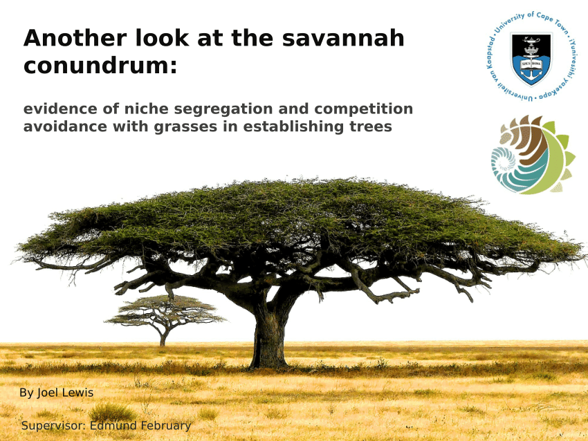 (PDF) Joel Lewis 2015 Savanna Science Network Meeting presentation