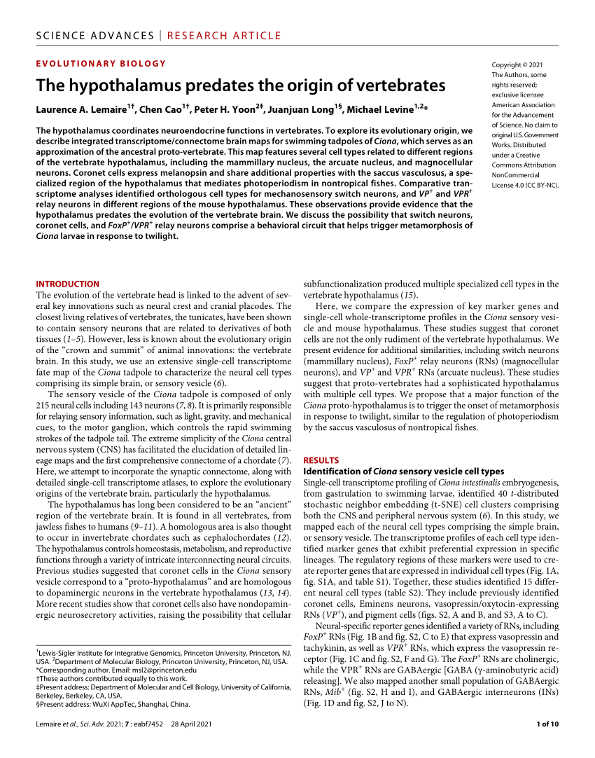 pdf-the-hypothalamus-predates-the-origin-of-vertebrates