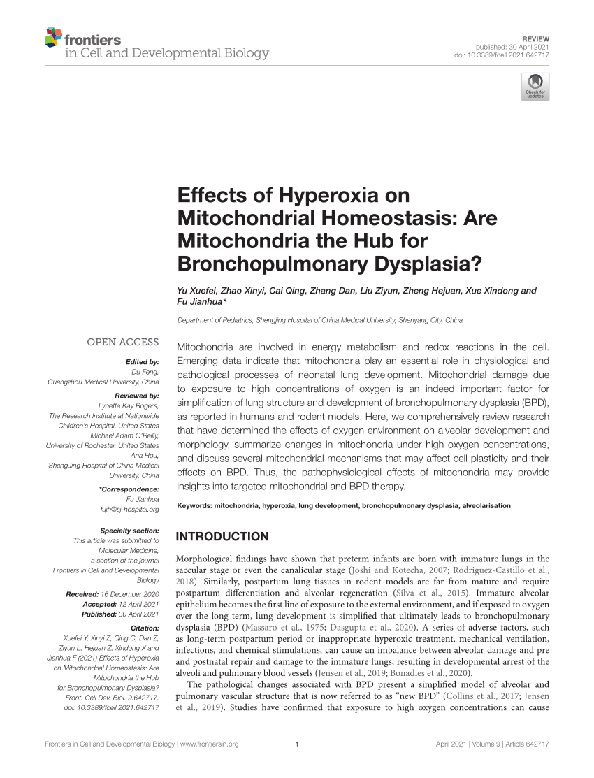 PDF) Effects of Hyperoxia on Mitochondrial Homeostasis: Are 