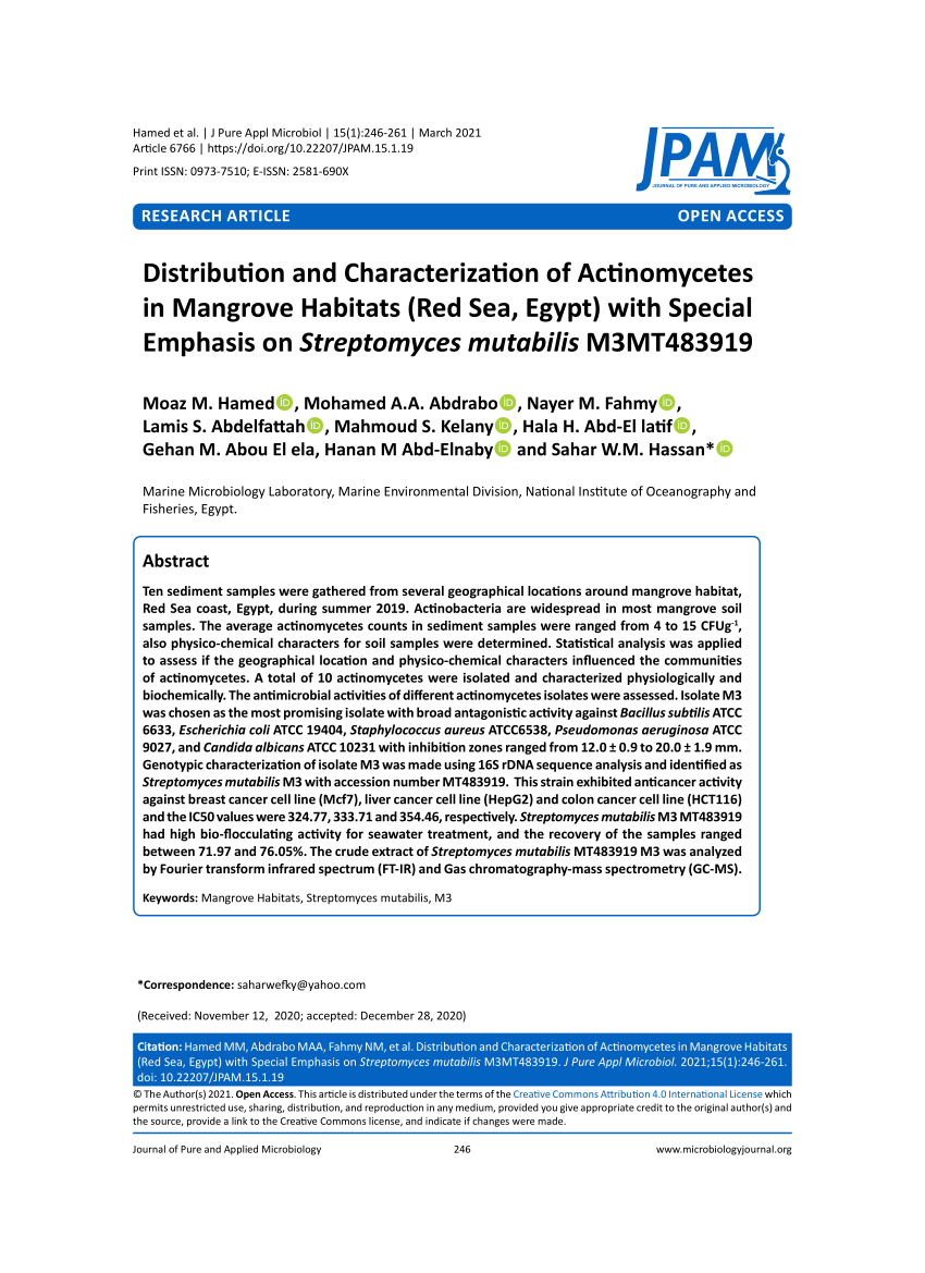 Pdf Distribution And Characterization Of Actinomycetes