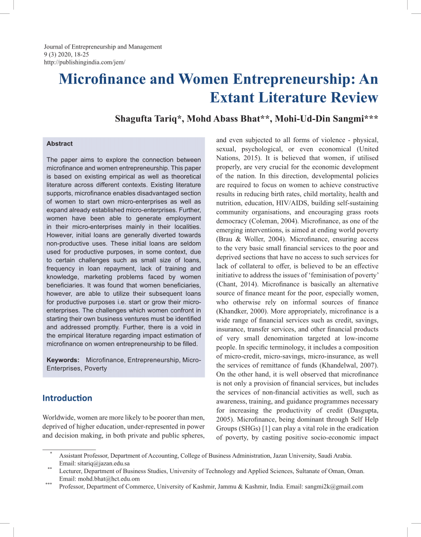 microfinance literature review