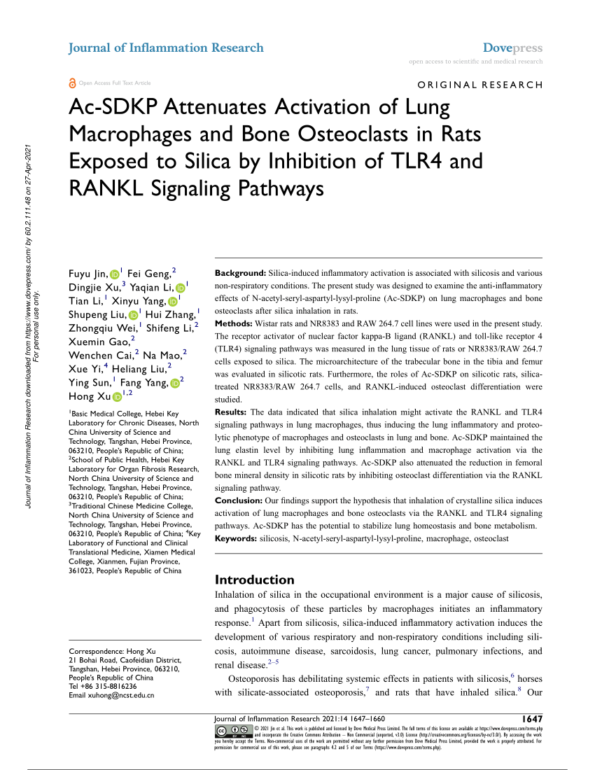 PDF Ac SDKP Attenuates Activation of Lung Macrophages and Bone  