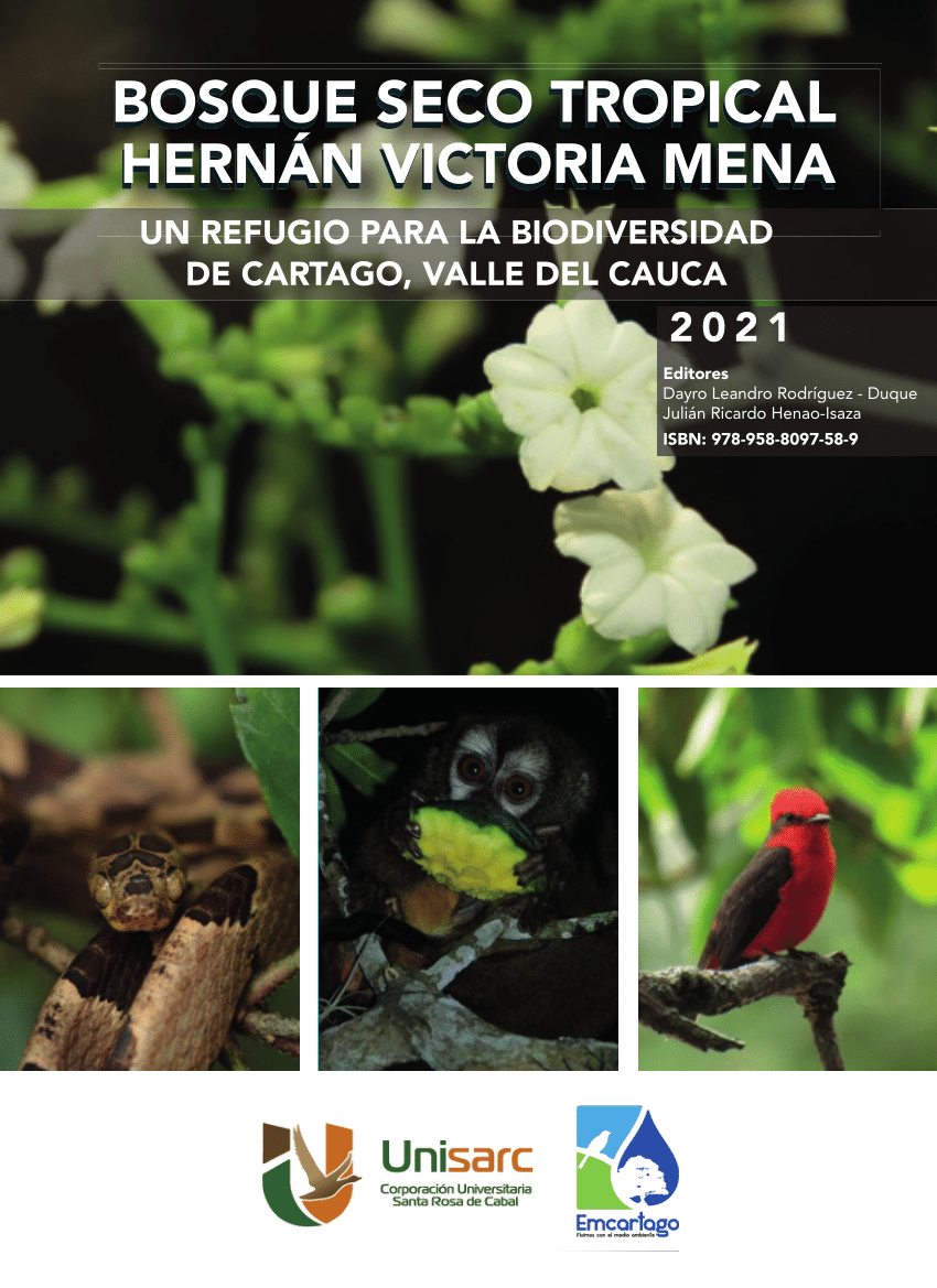 plantas y animales del bosque seco tropical