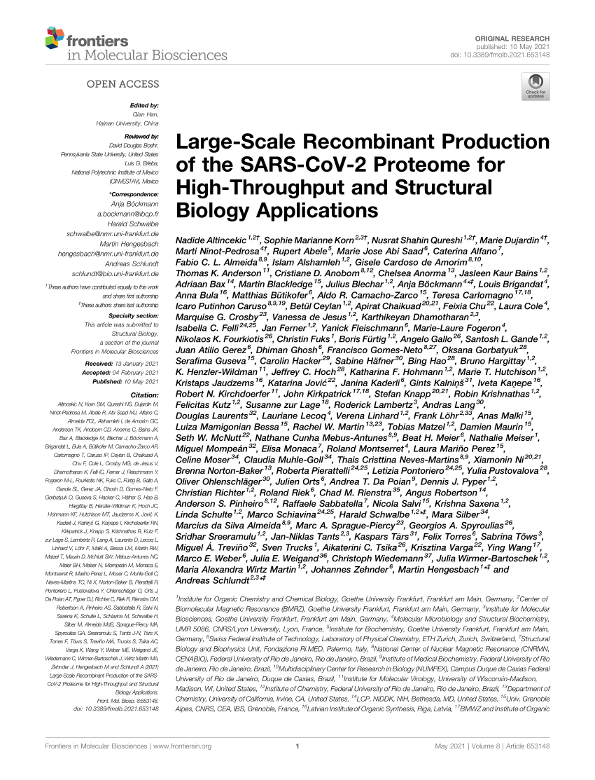 Pdf Large Scale Recombinant Production Of The Sars Cov 2 Proteome For High Throughput And Structural Biology Applications