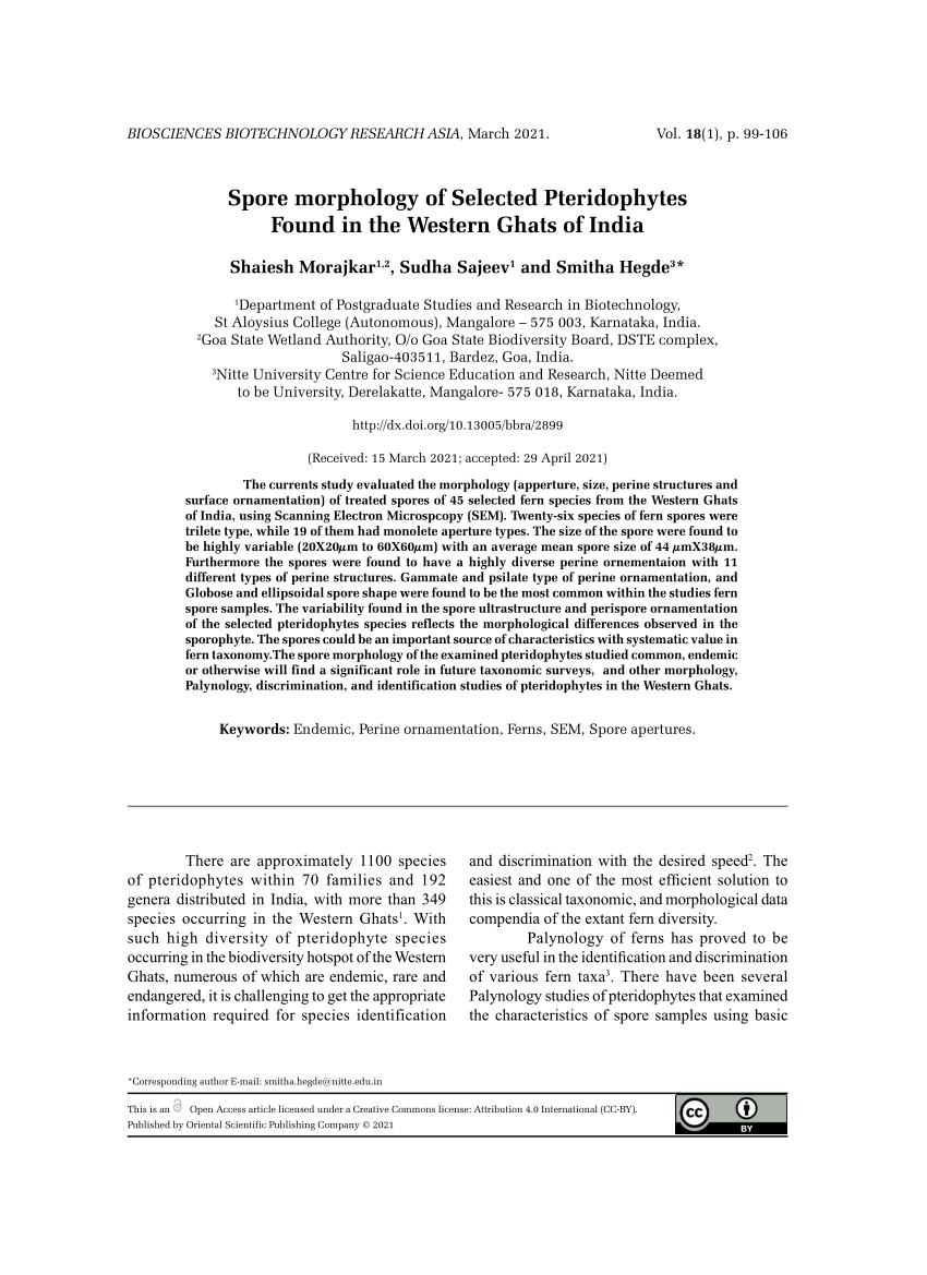 PDF) Spore Morphology and Ornamentation of Fern and Fern-Allies