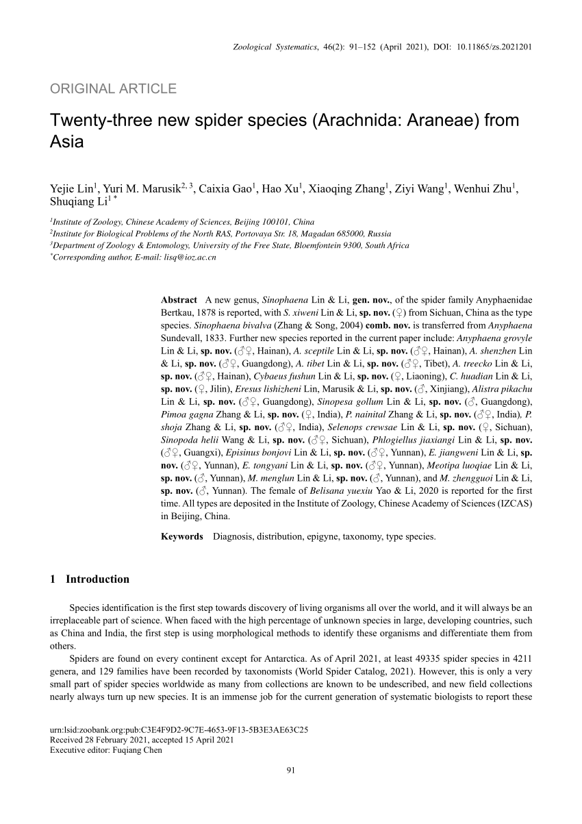 Full article: Three new species of the genus Speocera (Araneae