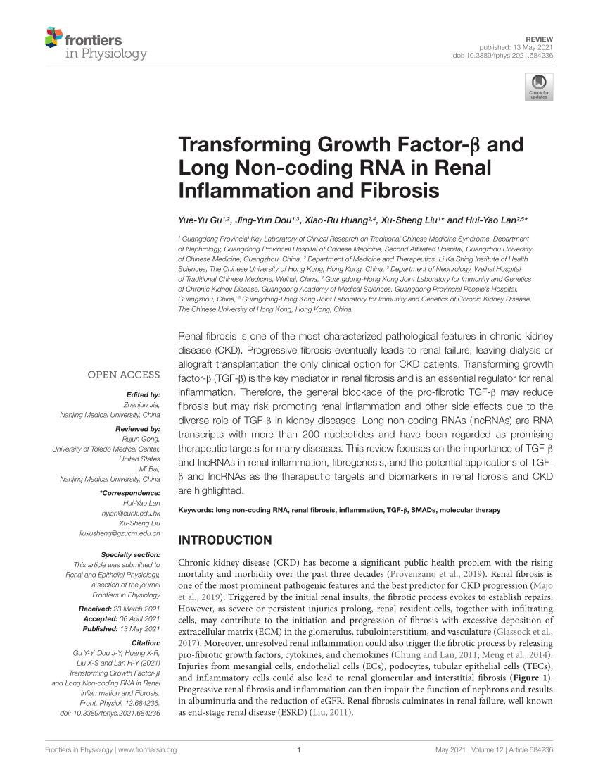 Pdf Transforming Growth Factor B And Long Non Coding Rna In Renal Inflammation And Fibrosis