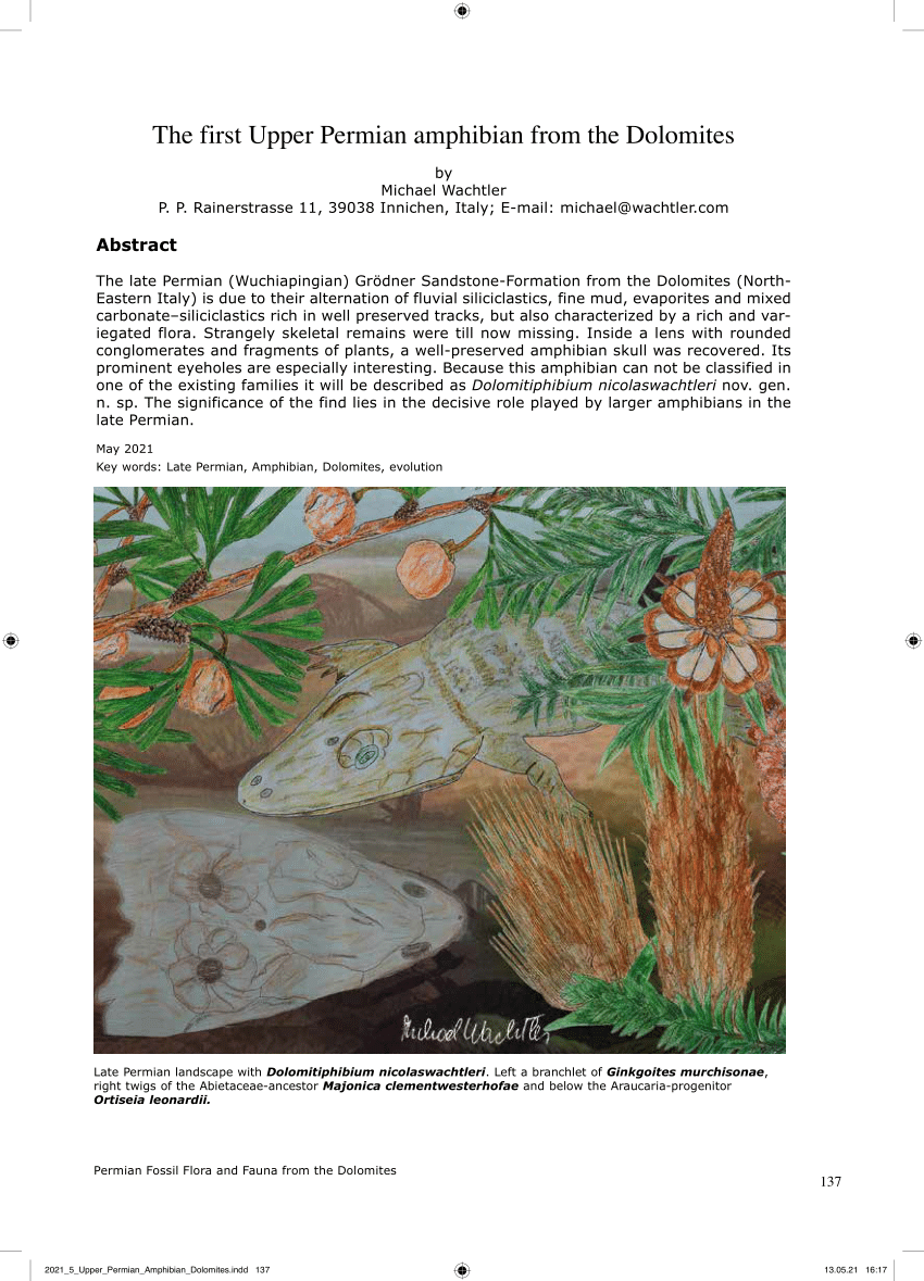 Pdf The First Upper Permian Amphibian From The Dolomites