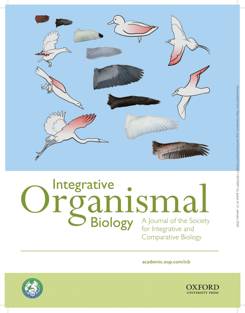 (PDF) Wing Shape in Waterbirds: Morphometric Patterns Associated with