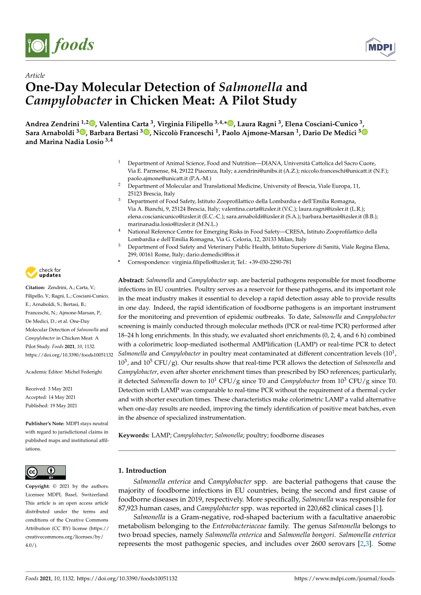 PDF) One-Day Molecular Detection of Salmonella and Campylobacter in Chicken  Meat: A Pilot Study