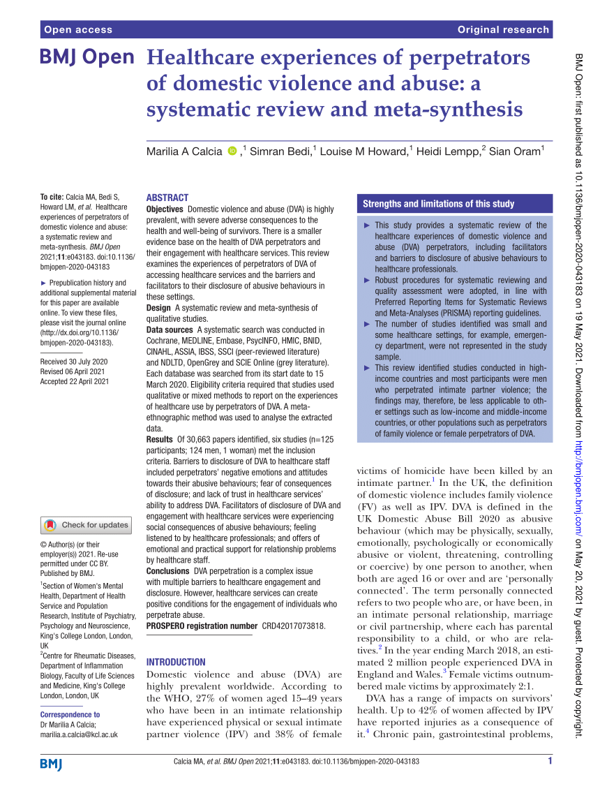 literature review on domestic violence perpetrators