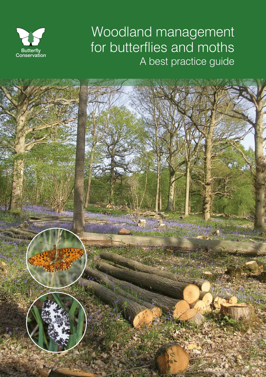 The Drying Barn – Century Wood – notes from a Shropshire woodland