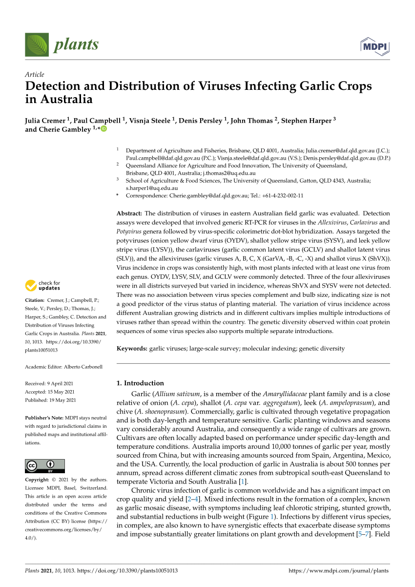 Pdf Detection And Distribution Of Viruses Infecting Garlic Crops In Australia 