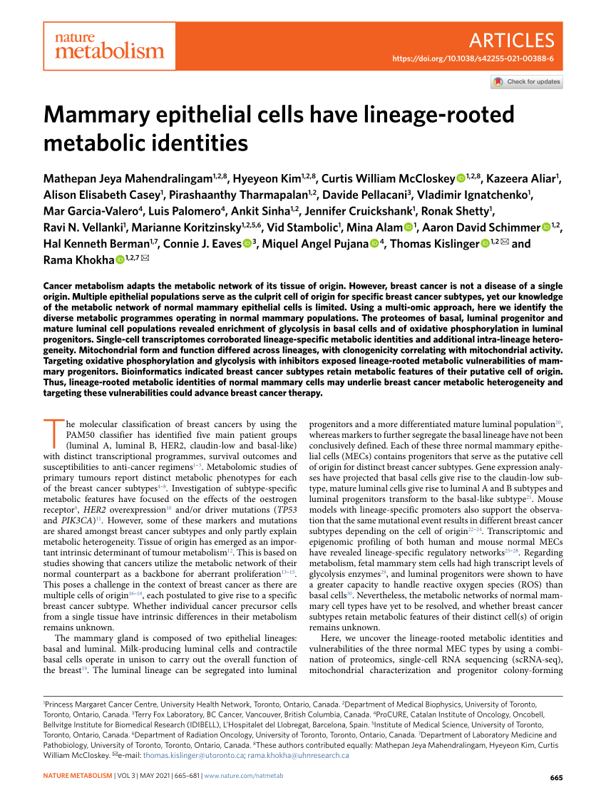 PDF) Mammary epithelial cells have lineage-rooted metabolic identities