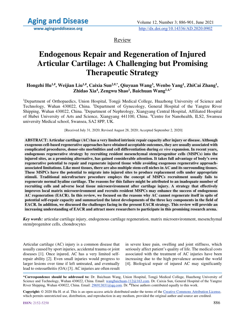 PDF) Endogenous Repair and Regeneration of Injured Articular Cartilage: A  Challenging but Promising Therapeutic Strategy