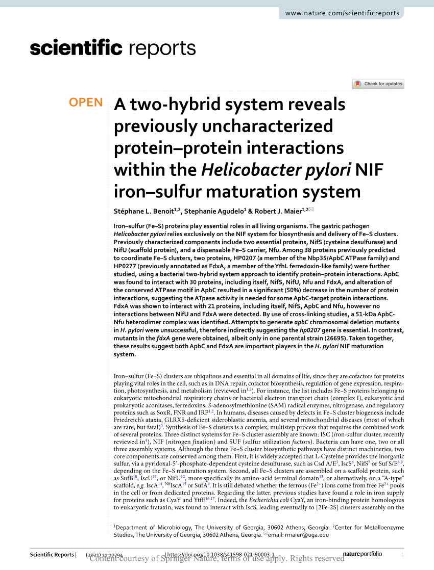 A two-hybrid system reveals previously uncharacterized protein–protein  interactions within the Helicobacter pylori NIF iron–sulfur maturation  system
