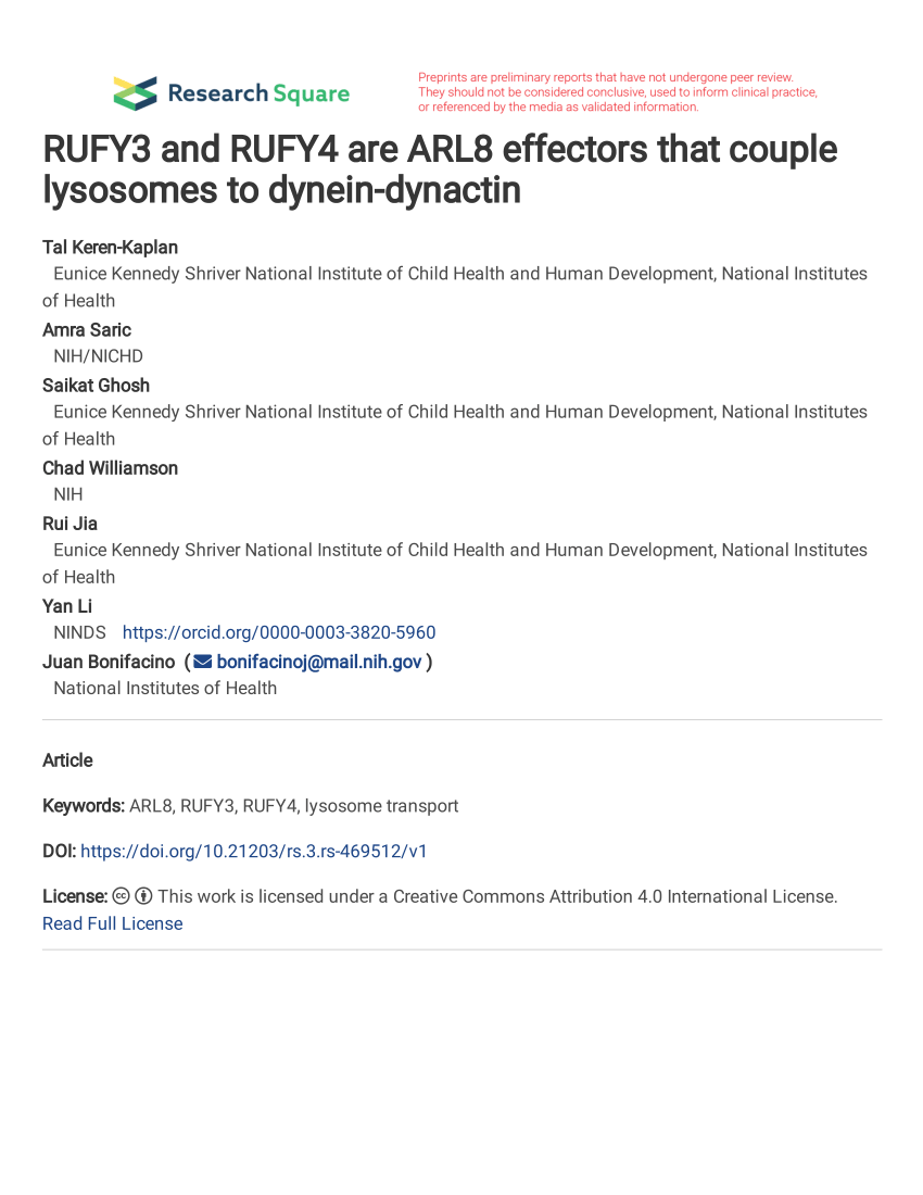 PDF) RUFY3 and RUFY4 are ARL8 effectors that couple lysosomes to ...