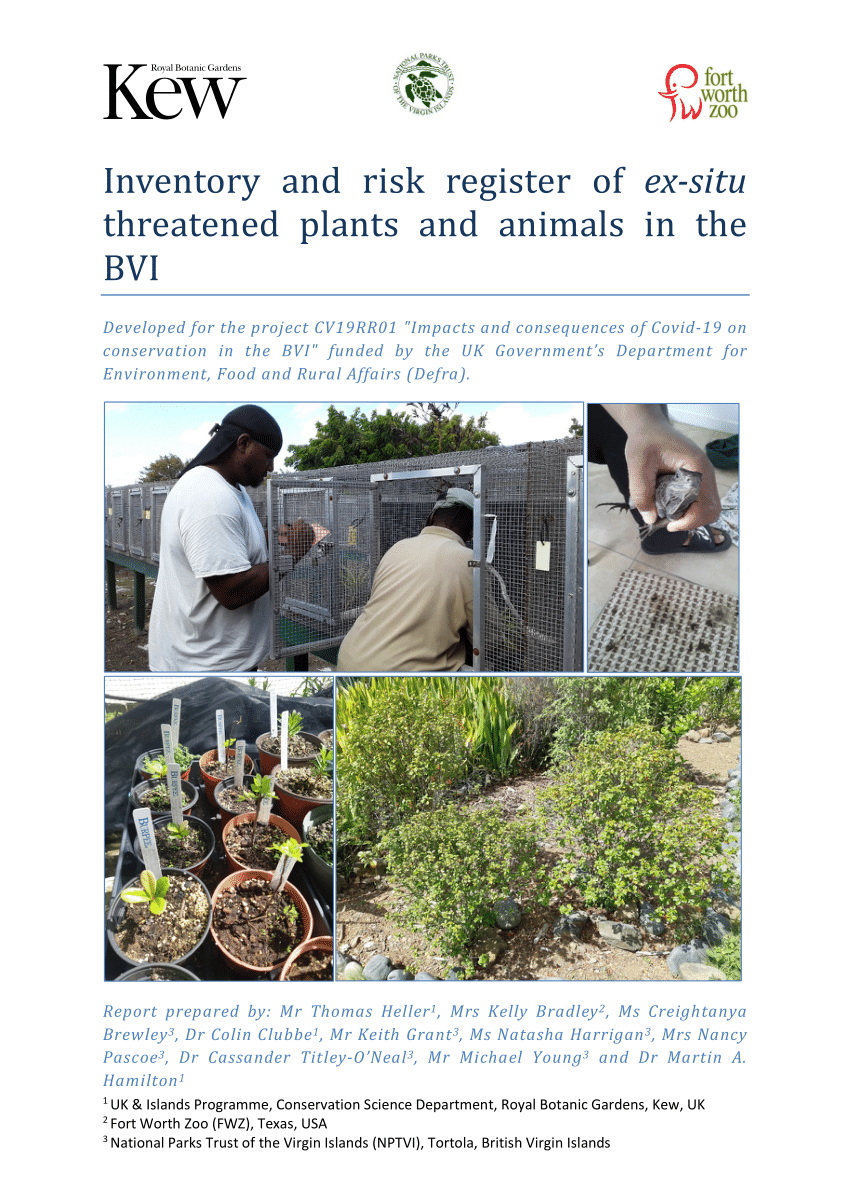 Pdf Inventory And Risk Register Of Ex Situ Threatened Plants And Animals In The Bvi