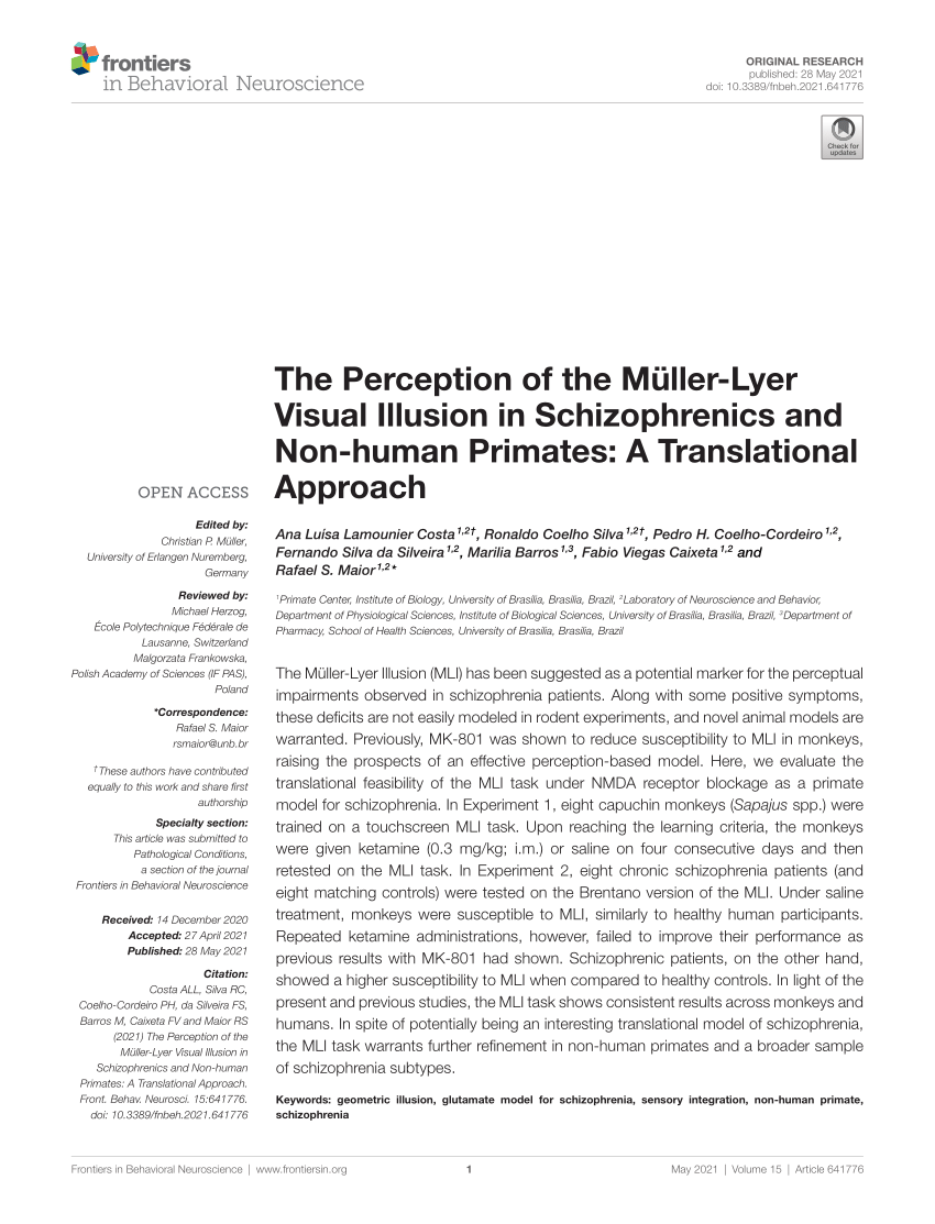 PDF) The Perception of the Mller-Lyer Visual Illusion in ...