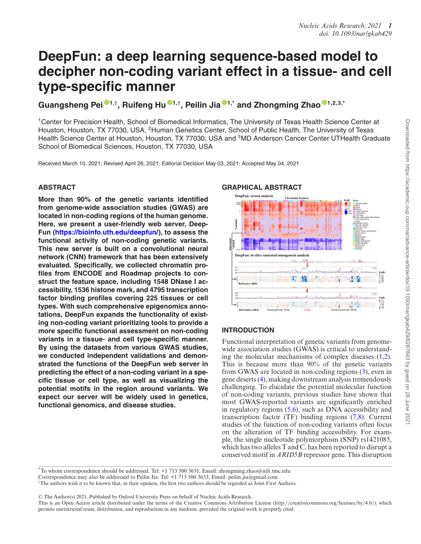 Pdf Deepfun A Deep Learning Sequence Based Model To Decipher Non Coding Variant Effect In A 0494