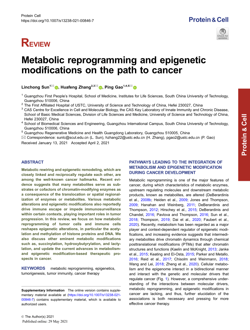 PDF) Metabolic reprogramming and epigenetic modifications on the 