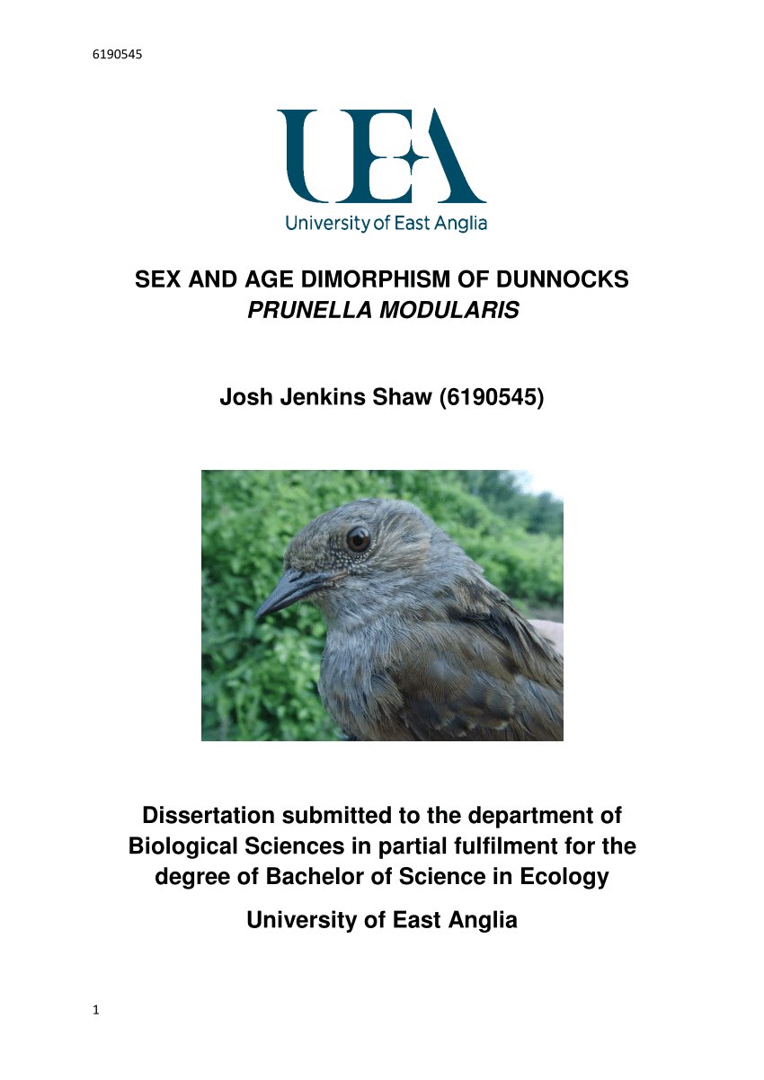 PDF) Sex and age dimorphism of Dunnocks Prunella modularis (BSc thesis) pic