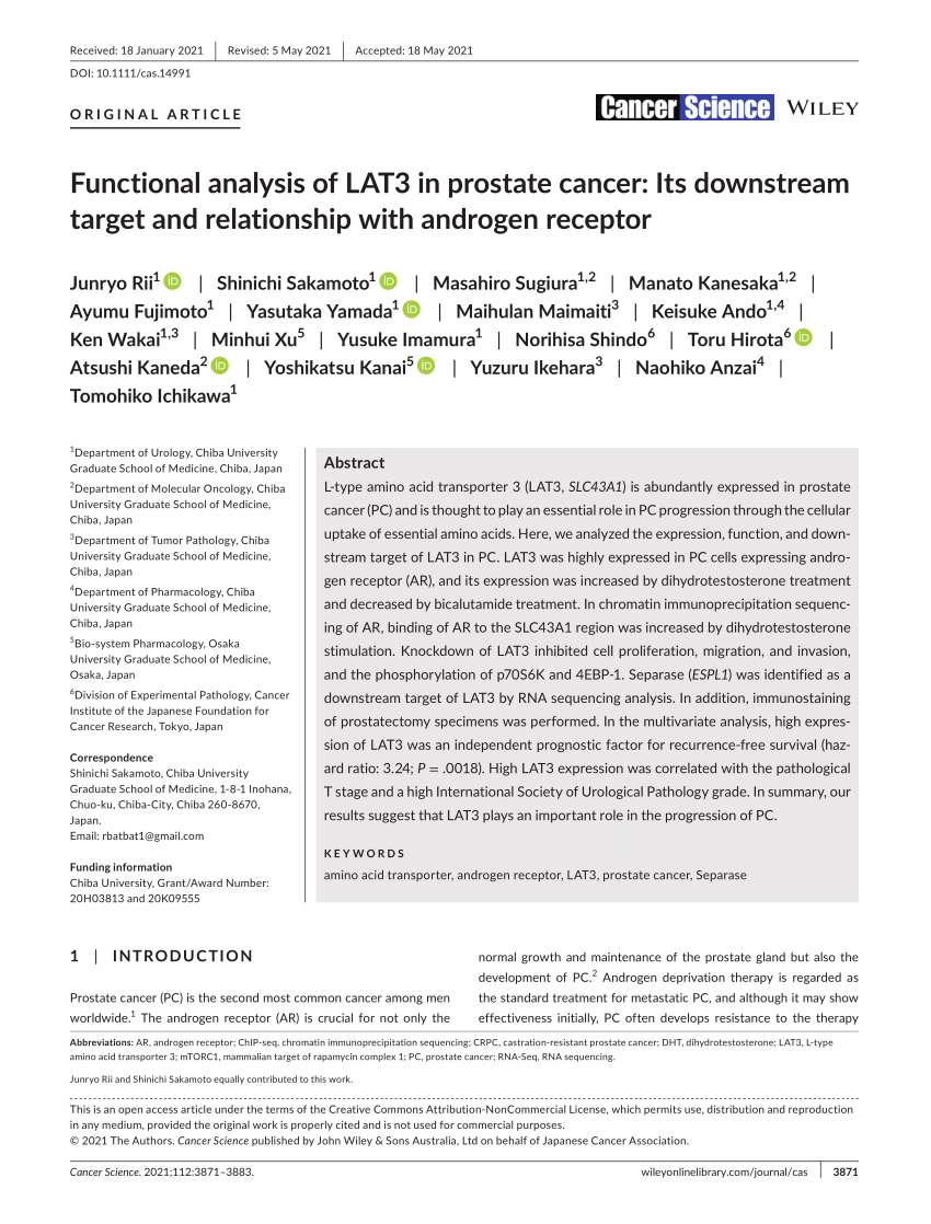 PDF) Functional analysis of LAT3 in prostate cancer: Its