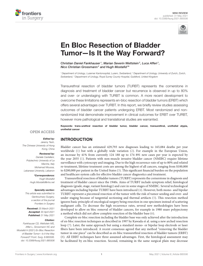 PDF En Bloc Resection Of Bladder TumorIs It The Way Forward
