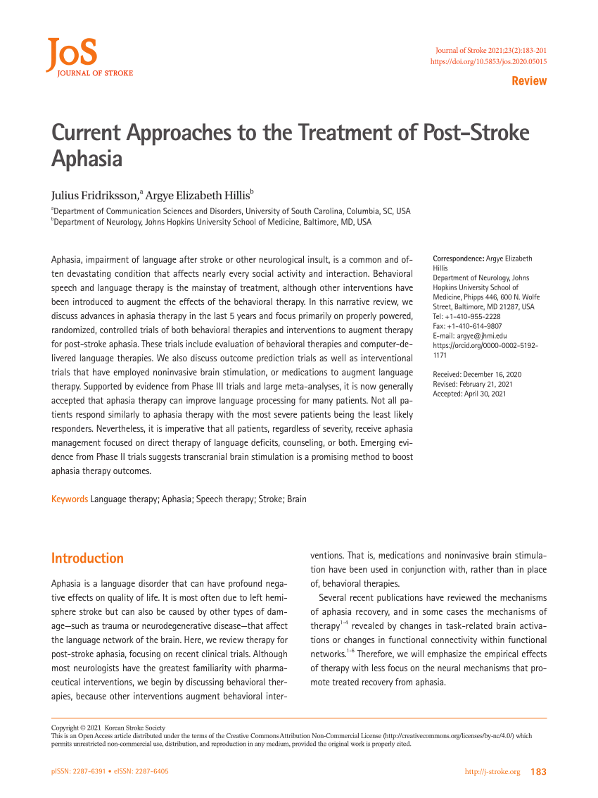 stroke aphasia case study