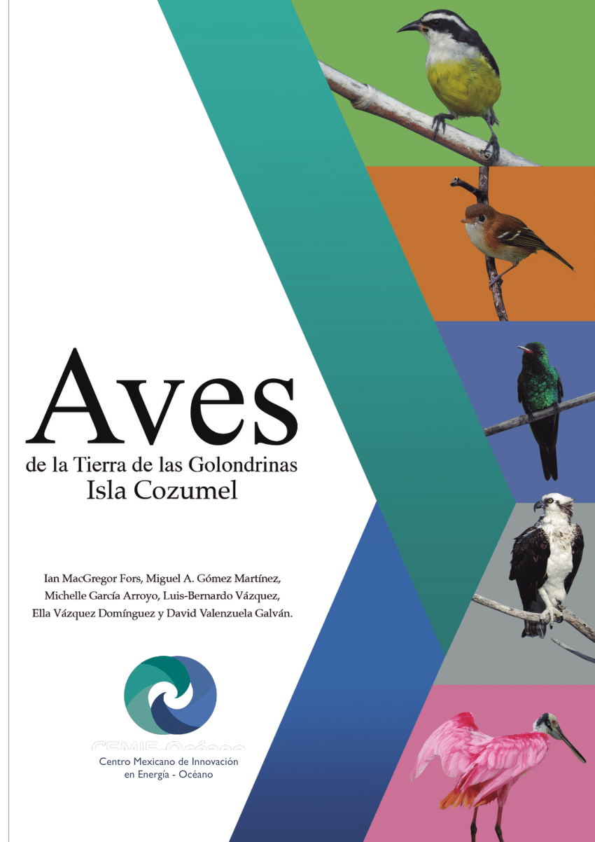 PDF) Birds of the Land of the Swallows: Cozumel Island