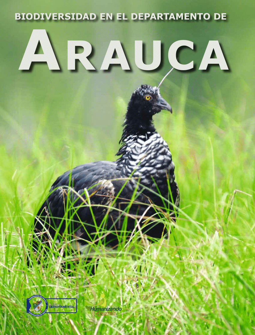 PDF) Vegetación del Departamento de Arauca