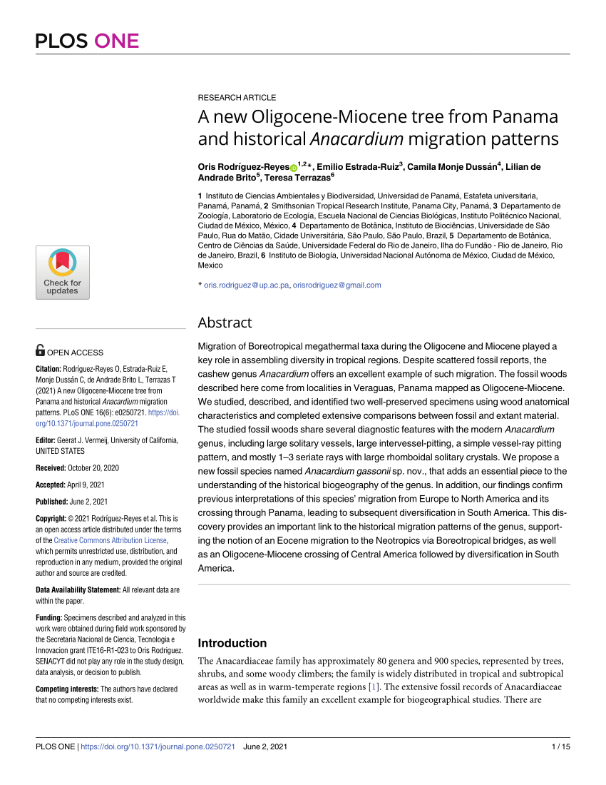 Pdf A New Oligocene Miocene Tree From Panama And Historical Anacardium Migration Patterns