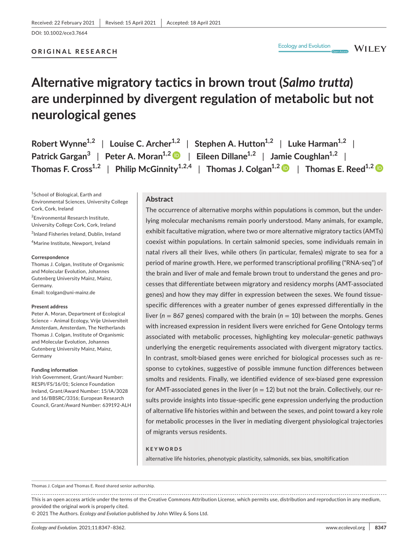 PDF) Alternative migratory tactics in brown trout (Salmo trutta