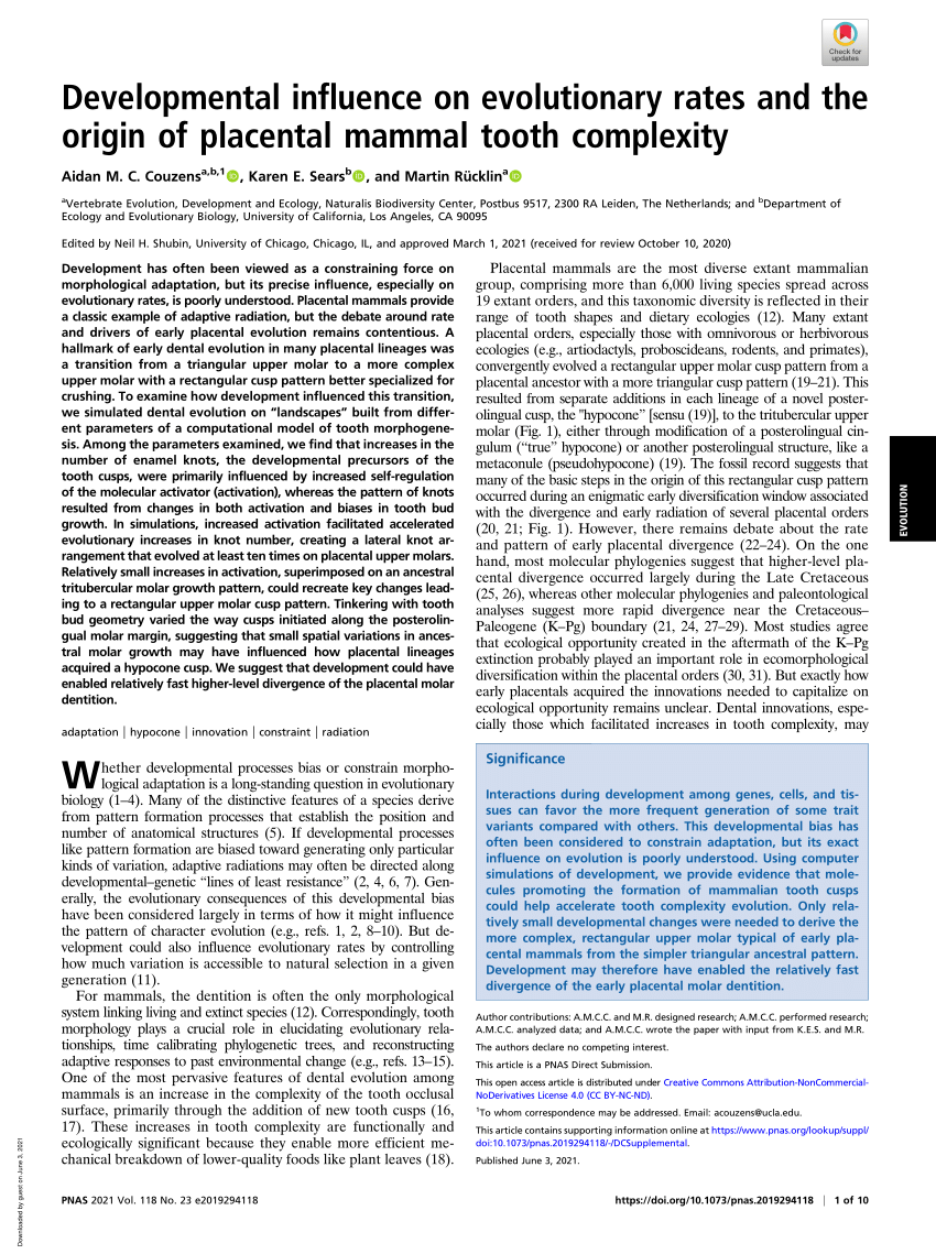 (PDF) Developmental influence on evolutionary rates and the origin of