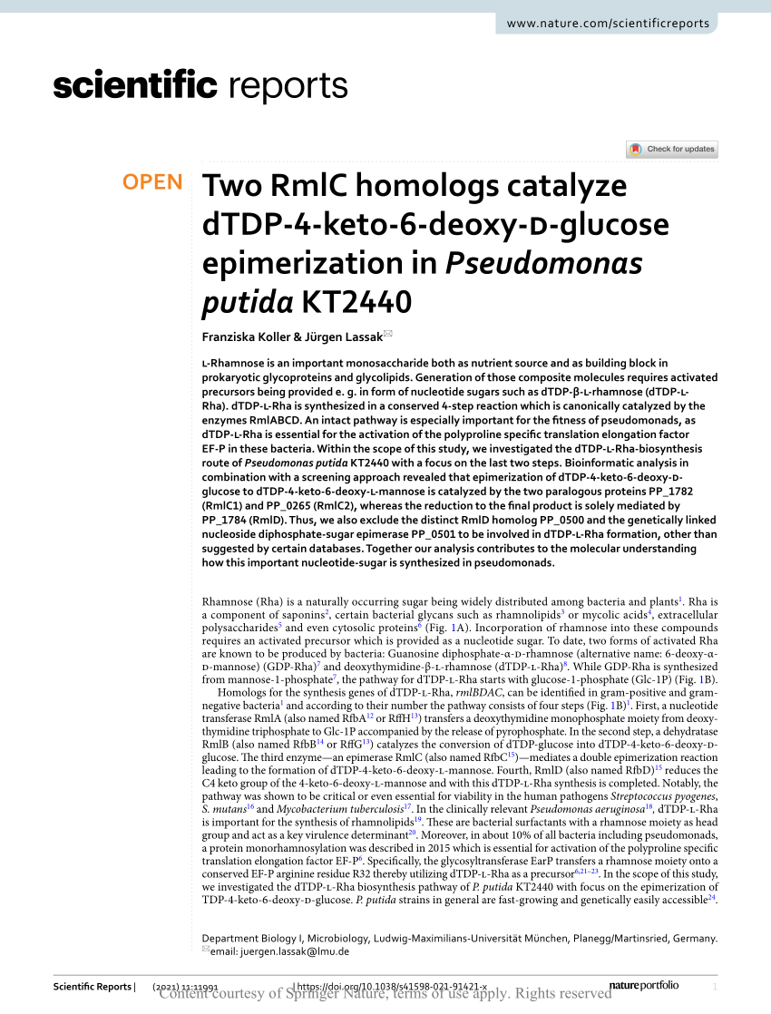 PDF) Two RmlC homologs catalyze dTDP-4-keto-6-deoxy-D-glucose
