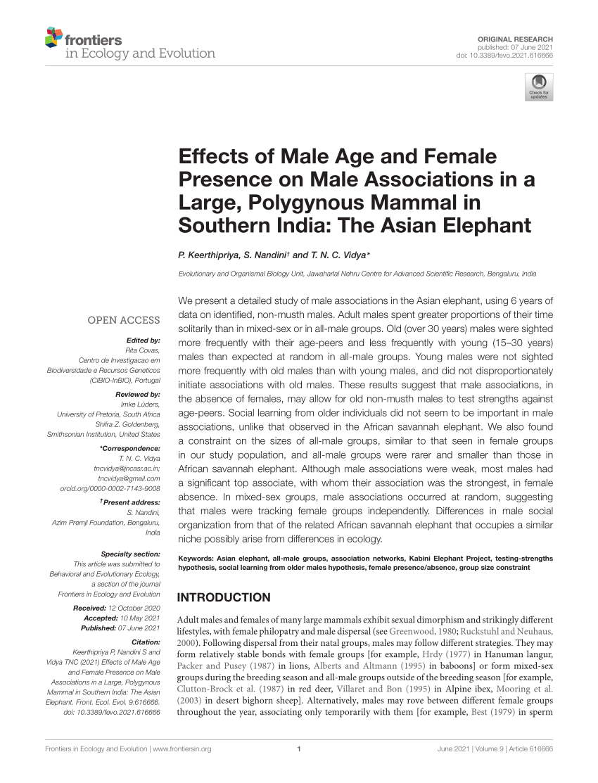 Pdf Effects Of Male Age And Female Presence On Male Associations In A Large Polygynous Mammal 4886