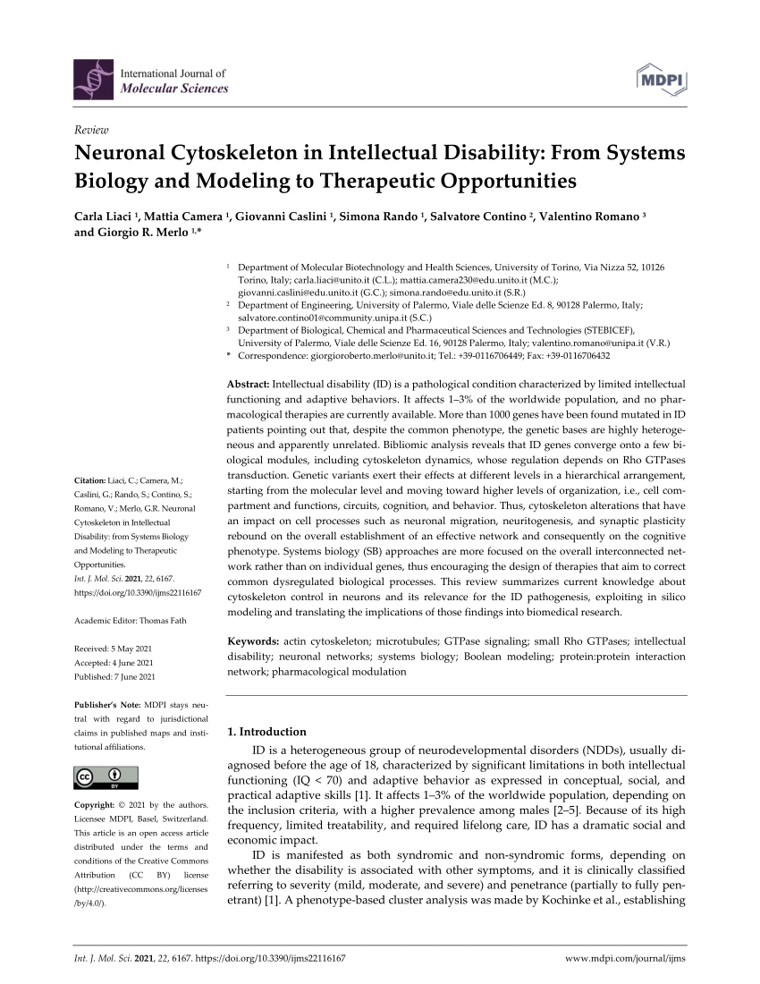 PDF) Neuronal Cytoskeleton in Intellectual Disability: From 