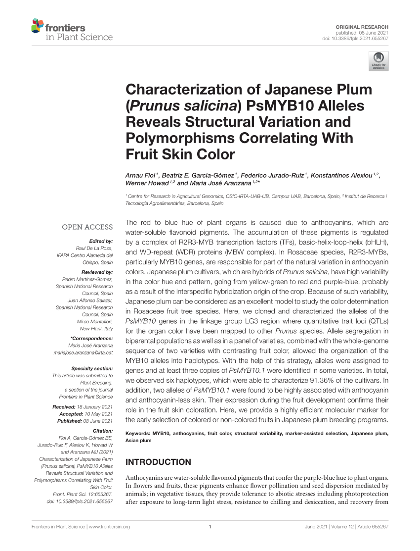 PDF) Characterization of Japanese Plum (Prunus salicina) PsMYB10 ...