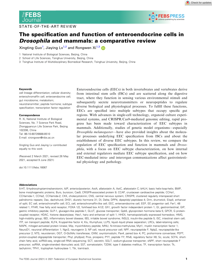 The specification and function of enteroendocrine cells in Drosophila and  mammals: a comparative review - Guo - 2022 - The FEBS Journal - Wiley  Online Library