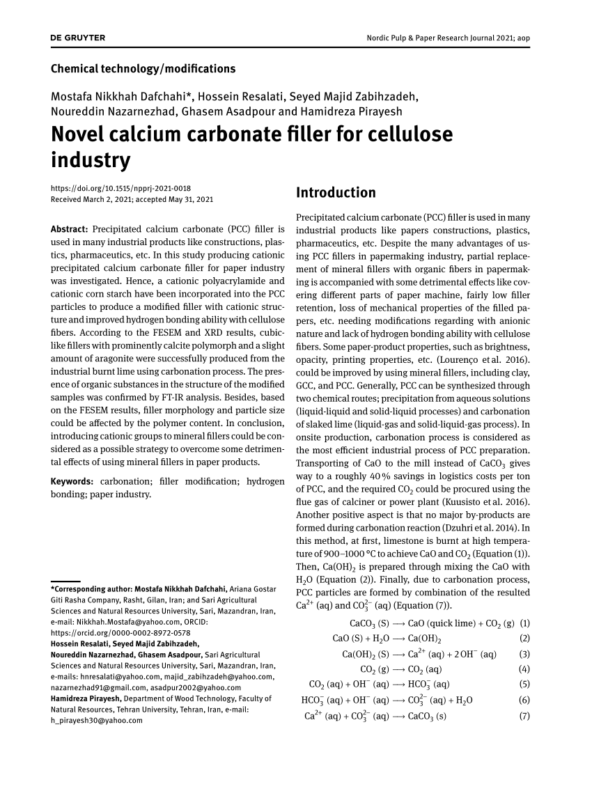 FILLER Carbonato di calcio By Bernardelli Group