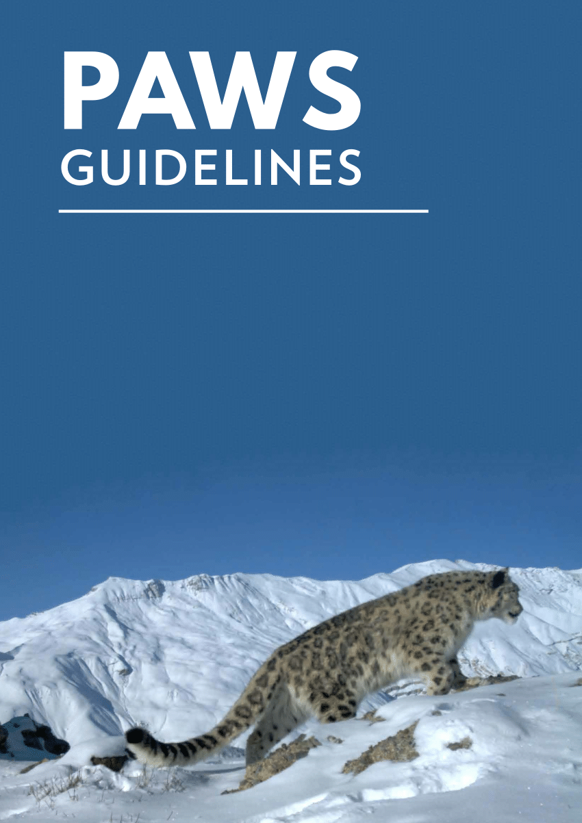 (PDF) Population Assessment of the World’s Snow Leopards