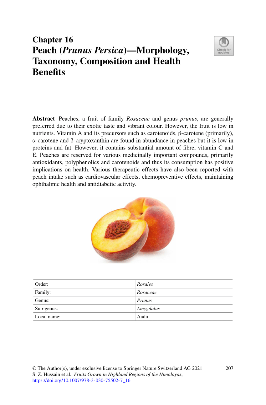 Prunus persica (Peach)
