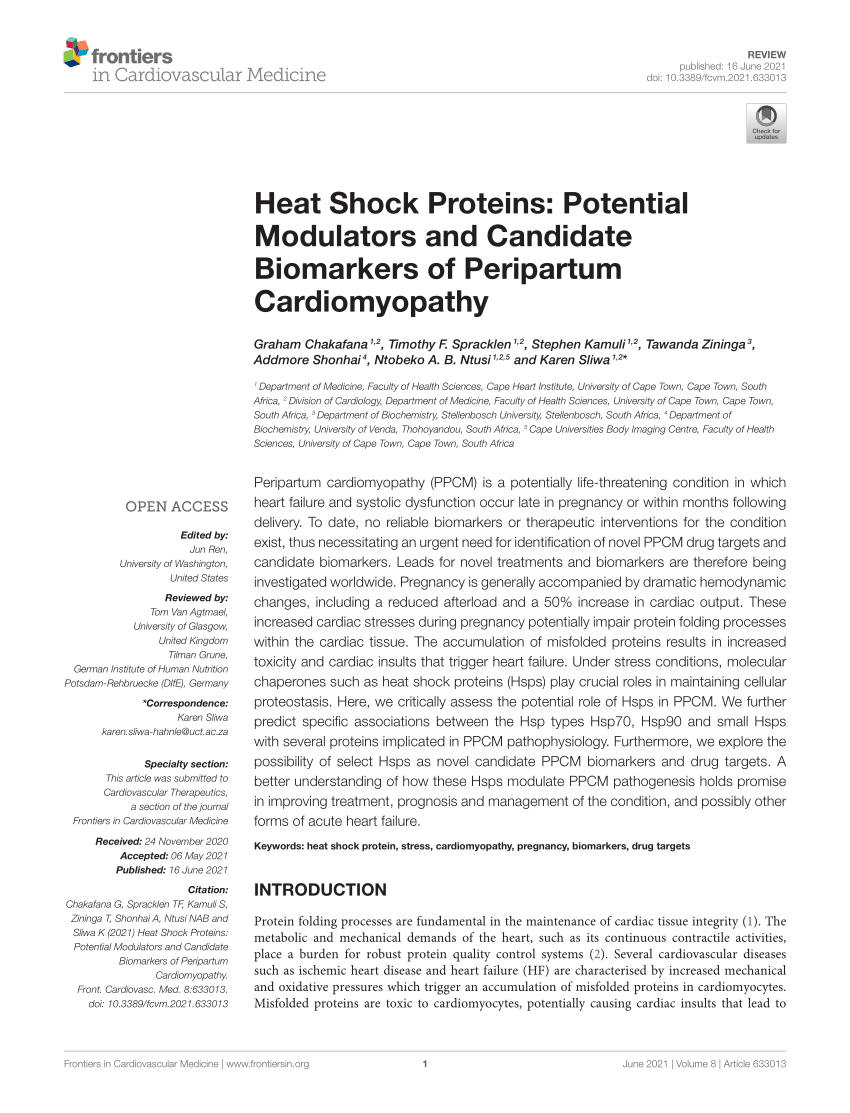 Pdf Heat Shock Proteins Potential Modulators And Candidate Biomarkers Of Peripartum Cardiomyopathy
