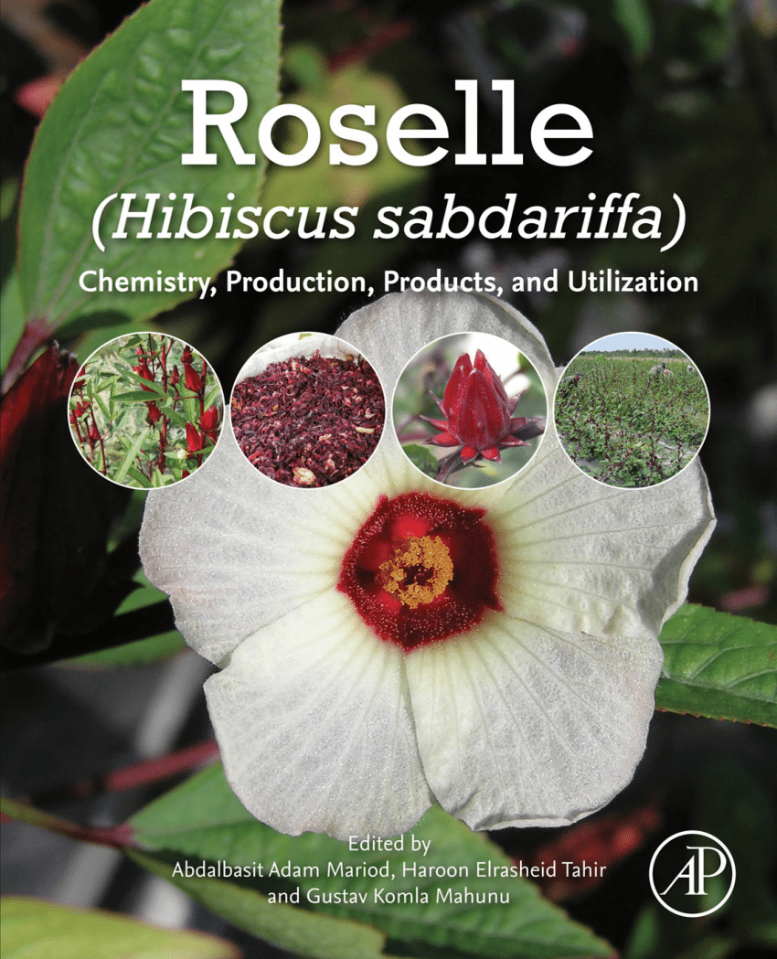 Bulk 144 Pc. Hibiscus Flower Picks